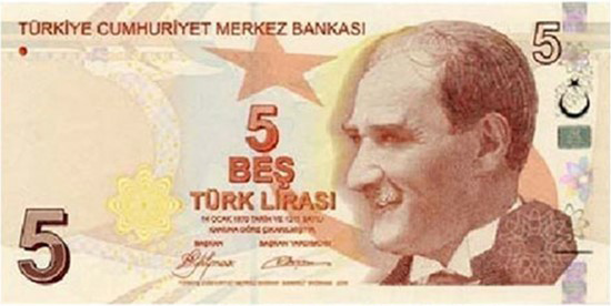 5 TL kâğıt para