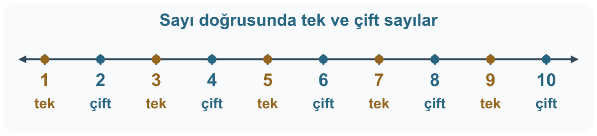 1’den 10’a eşit aralıklı sayı doğrusu. 1, 3, 5, 7 ve 9 tek; 2, 4, 6, 8 ve 10 çift olarak etiketlidir.