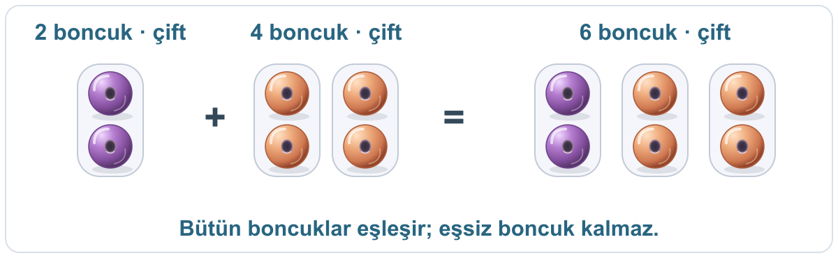 2 boncuk ile 4 boncuk birleştirilir. İki grubun boncuk sayıları da çifttir. Sonuç 3 ikili gruptaki 6 boncuktur. Eşsiz boncuk yoktur; toplam çifttir.