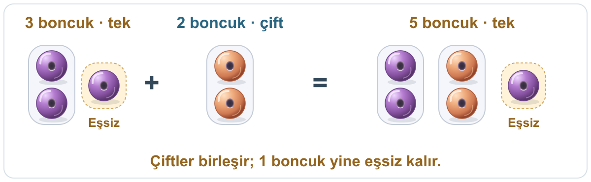 Tek sayıdaki 3 boncuk ile çift sayıdaki 2 boncuk birleştirilir. Sonuç 2 çift ve 1 eşsiz boncuktan oluşan 5 boncuktur; toplam tektir.