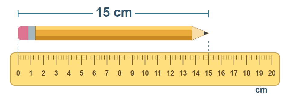 Sıfır çizgisinden başlayan ve ucu 15 santimetre çizgisine gelen kalem.