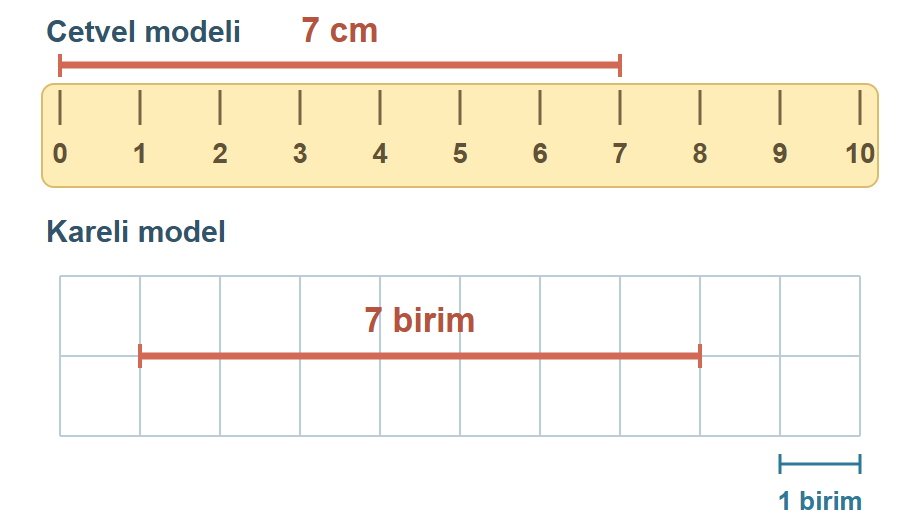 Üstte cetvelde sıfırdan yediye uzanan 7 santimetrelik doğru parçası; altta yedi eş kare boyunca uzanan 7 birimlik doğru parçası.