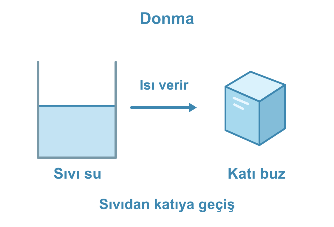 Sıvı su ısı vererek donar ve katı buza dönüşür.