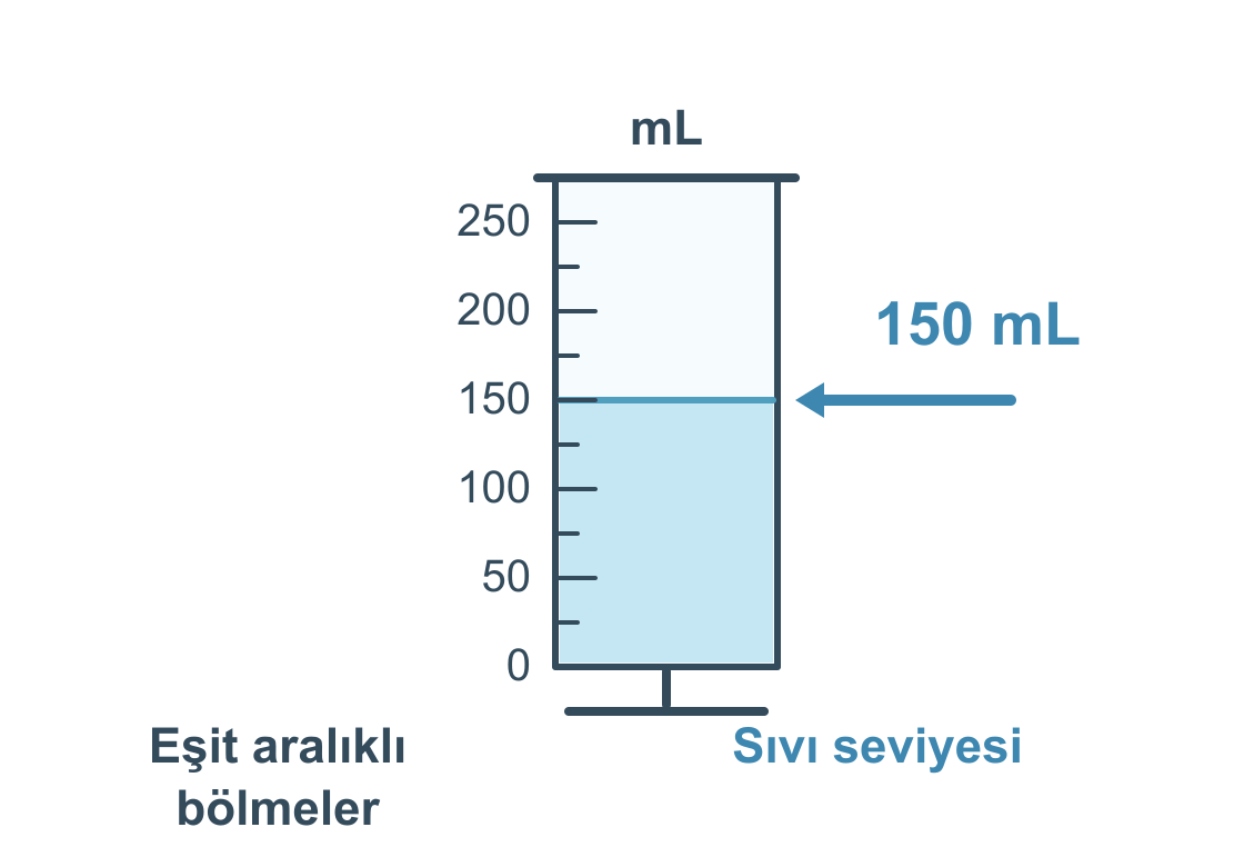 Dereceli silindirin eşit aralıklı ölçeğinde sıvı seviyesi 150 mililitre çizgisine karşılık geliyor.
