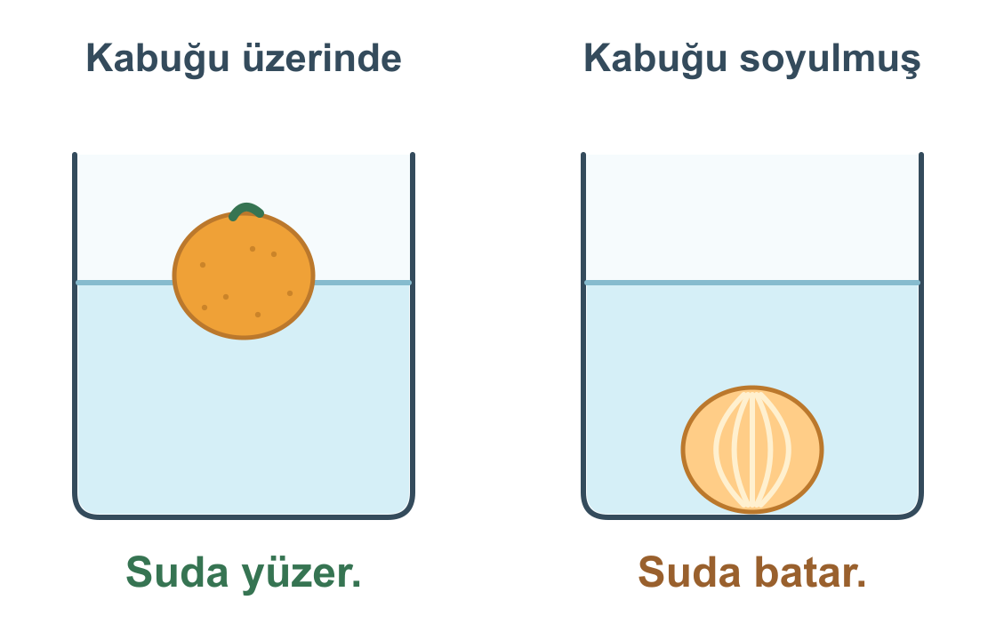 Kabuklu mandalina su yüzeyinde, kabuğu soyulmuş mandalina kabın dibinde gösterilmiştir.