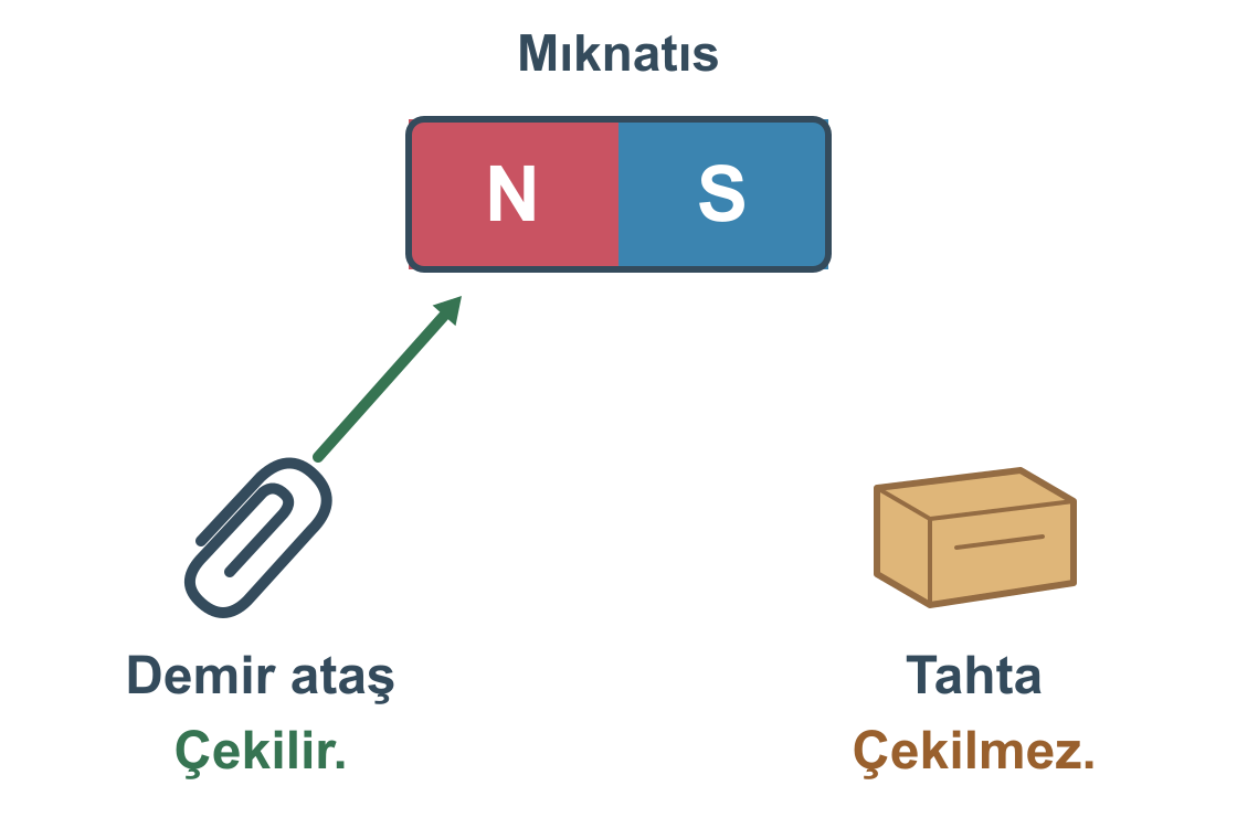 Mıknatıs demir ataşı kendine çeker; tahta parçasını çekmez.