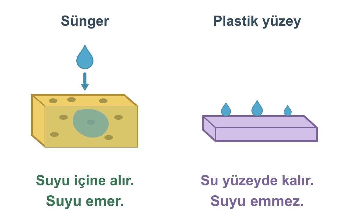 Sünger suyu içine alır. Plastik yüzeydeki su damlaları yüzeyde kalır.