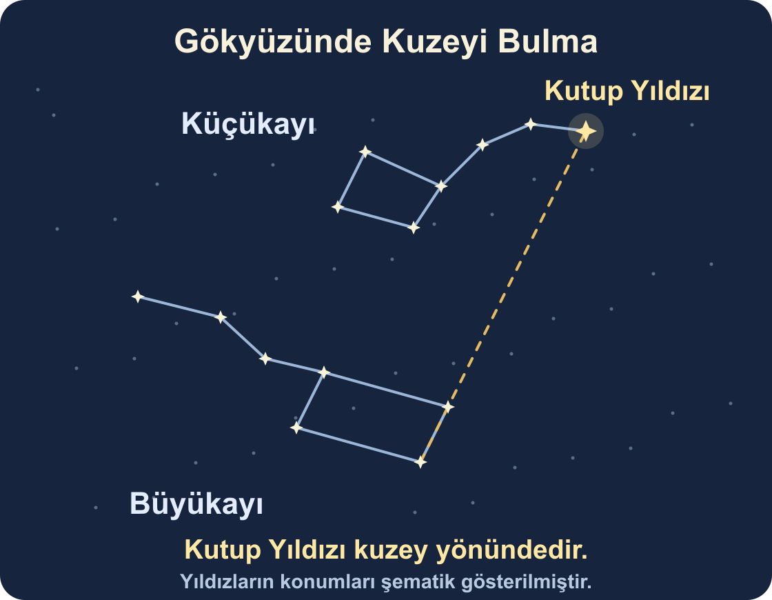 Büyükayı'nın dış kenarındaki iki yıldızın doğrultusuyla Küçükayı'nın ucundaki Kutup Yıldızı'nın bulunmasını gösteren şematik çizim.