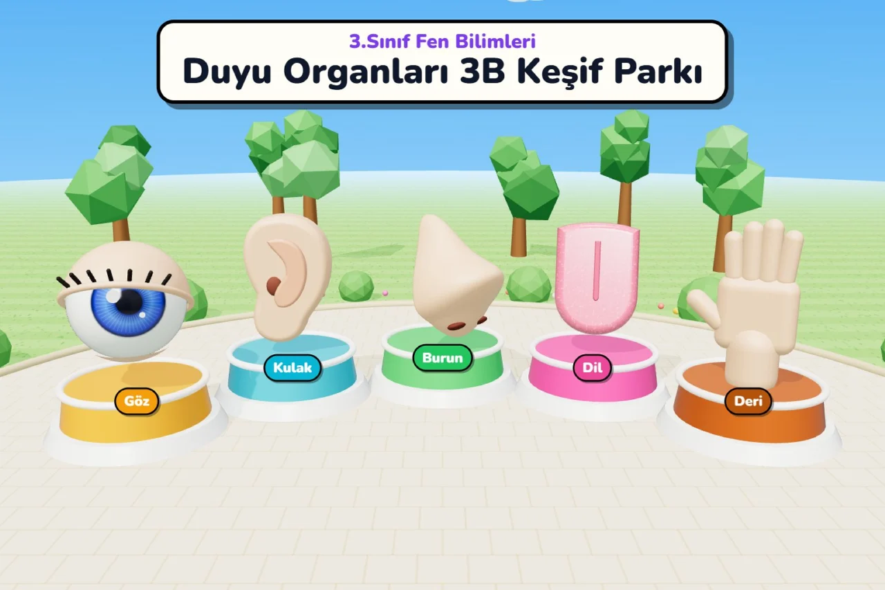 3.Sınıf Fen Bilimleri - Duyu Organları 3B Keşif Parkı